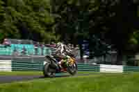 cadwell-no-limits-trackday;cadwell-park;cadwell-park-photographs;cadwell-trackday-photographs;enduro-digital-images;event-digital-images;eventdigitalimages;no-limits-trackdays;peter-wileman-photography;racing-digital-images;trackday-digital-images;trackday-photos